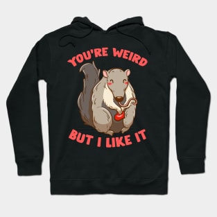 You're Weird But I Like It Cute Anteater Animal Hoodie